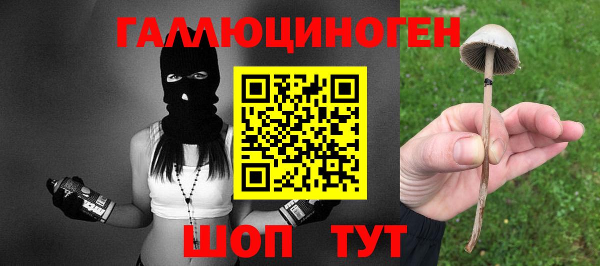 Галлюциногенные грибы мухоморы Кубинка