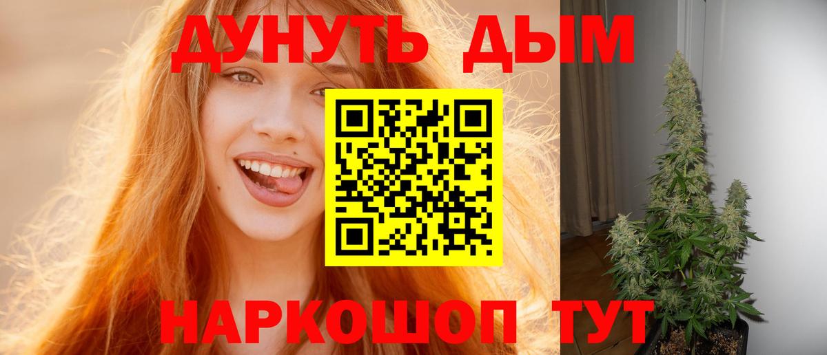 Бошки Шишки SATIVA & INDICA  МАРИХУАНА гибрид  Каннабис Amnesia  Вход с VPN  Бошки марихуана LSD WEED  Кубинка 